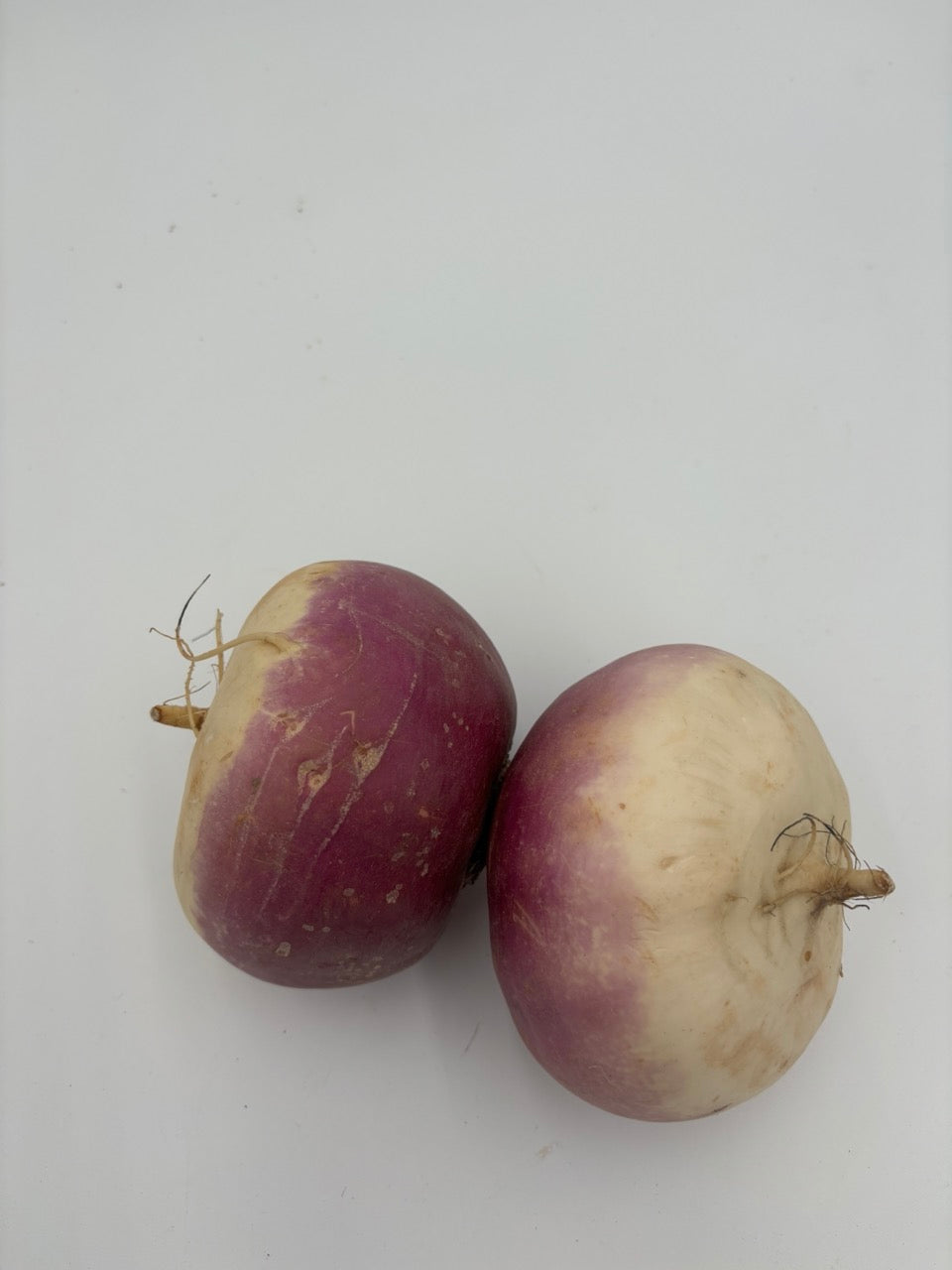 Purple Top White Globe Heirloom Storage Turnip - Organic