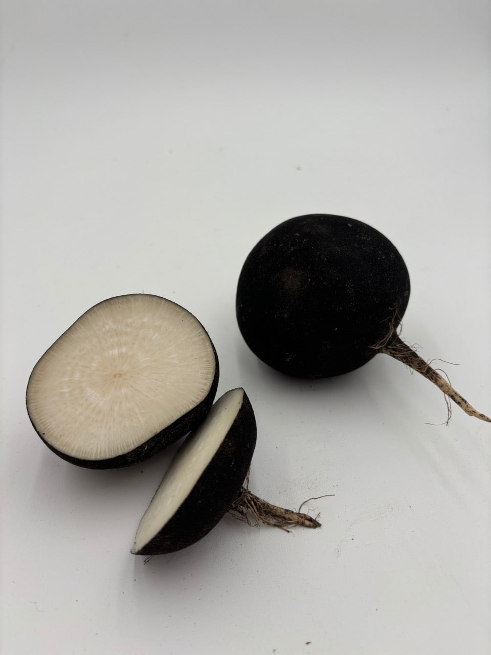 Black Spanish Winter Storage Radish - Organic