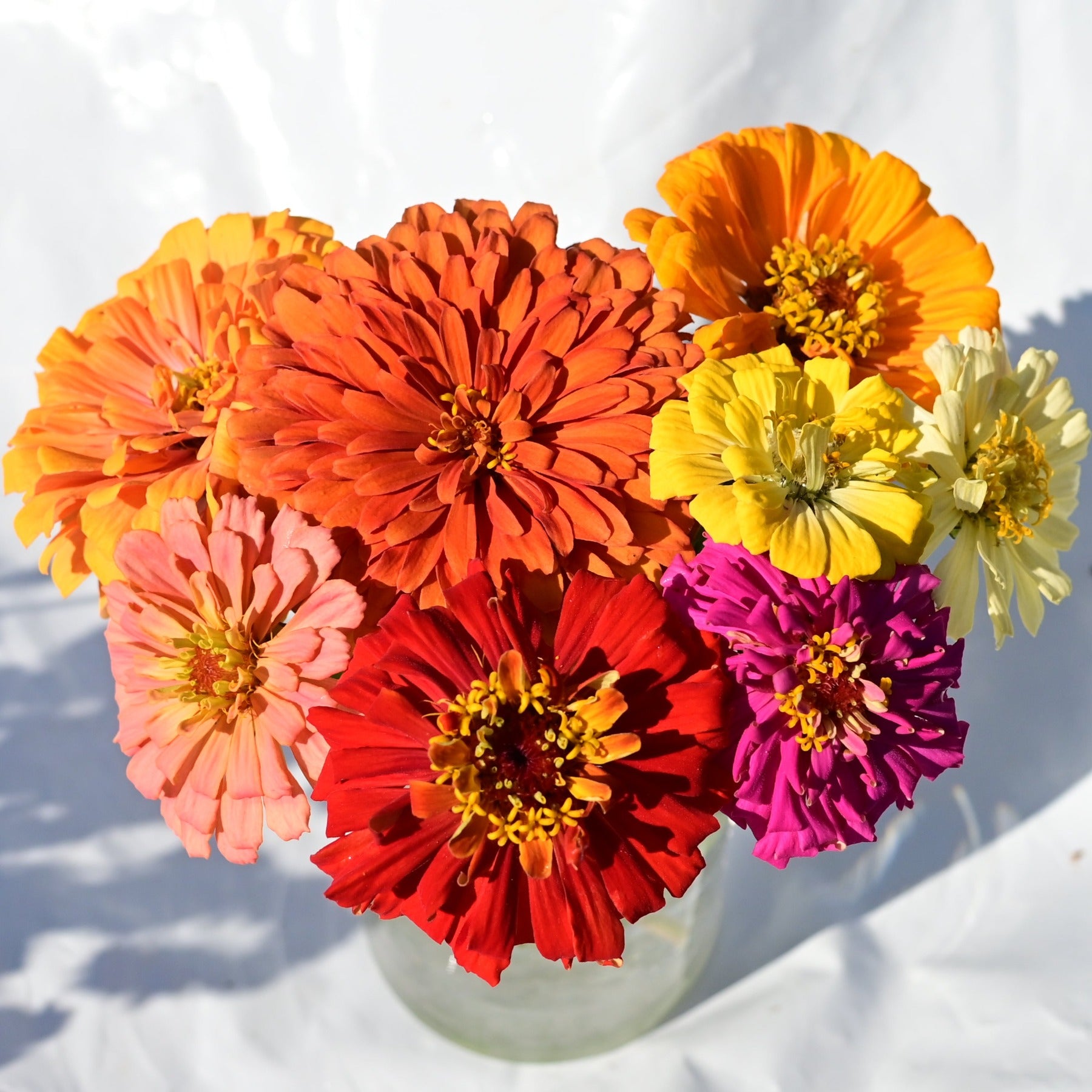 Jim Bagget Zinnia Mix in a vase with coral, orange, red, pink, yellow, and purple blooms