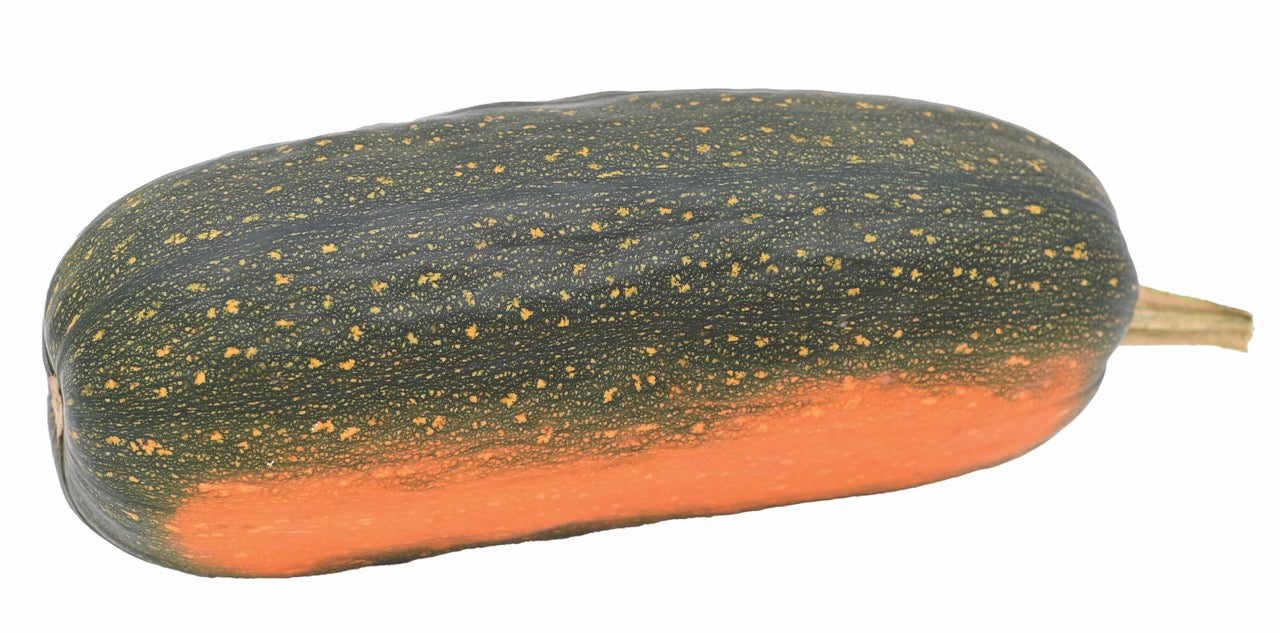 Long Pie Heirloom Winter Squash - Organic