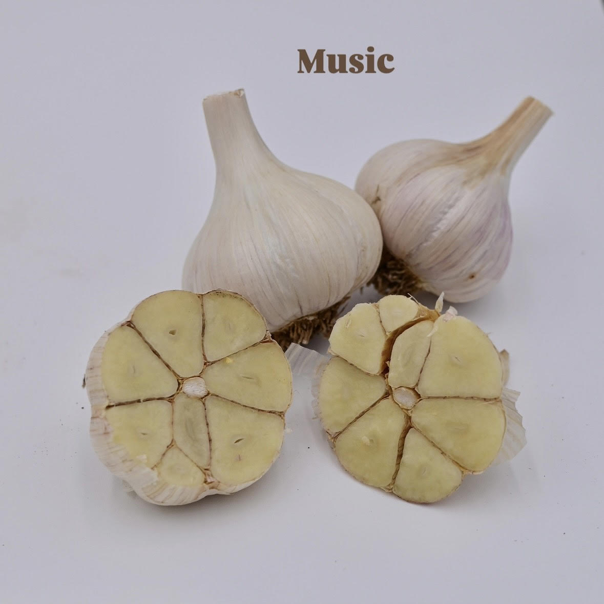 Music Organic Porcelain Garlic