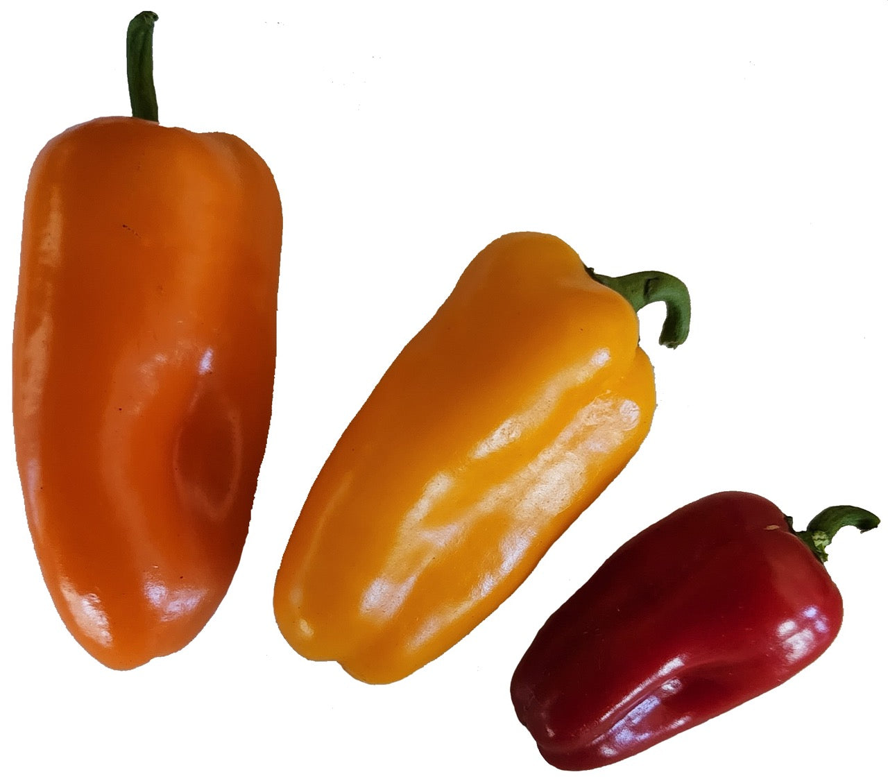 Lunchbox Snacking Pepper Mix - Organic