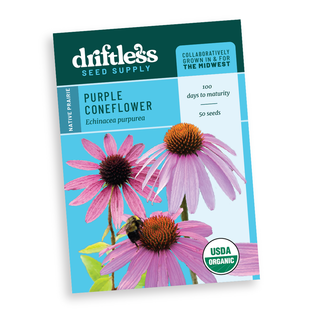 Purple Coneflower Echinacea Native Forb - Organic