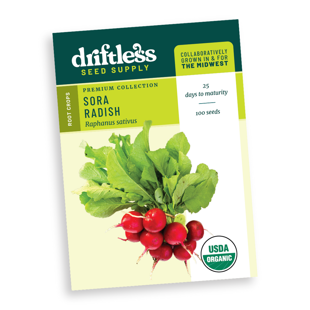 Sora Heat Tolerant Red Radish - Organic