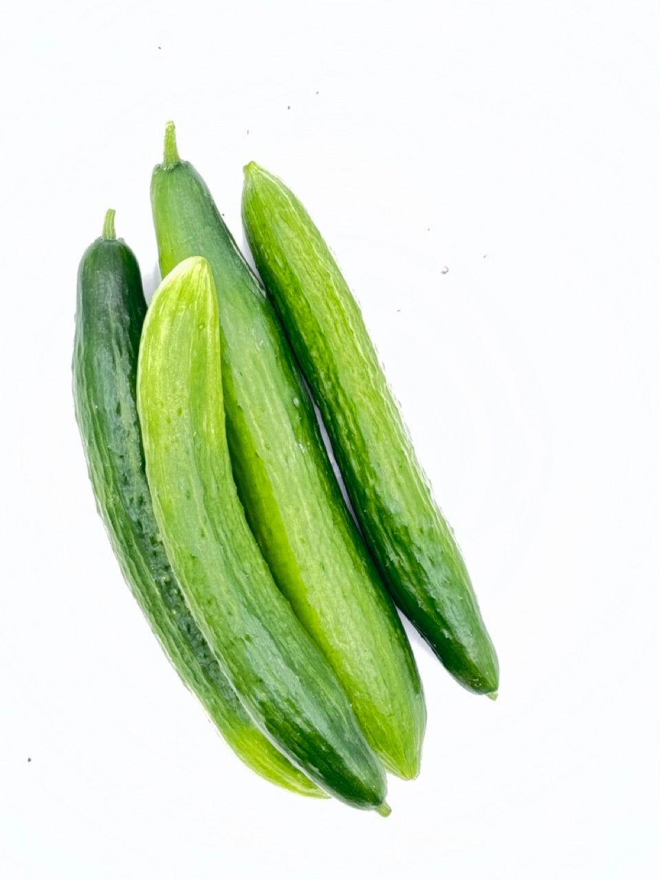 Telegraph Improved English Cucumber - Organic
