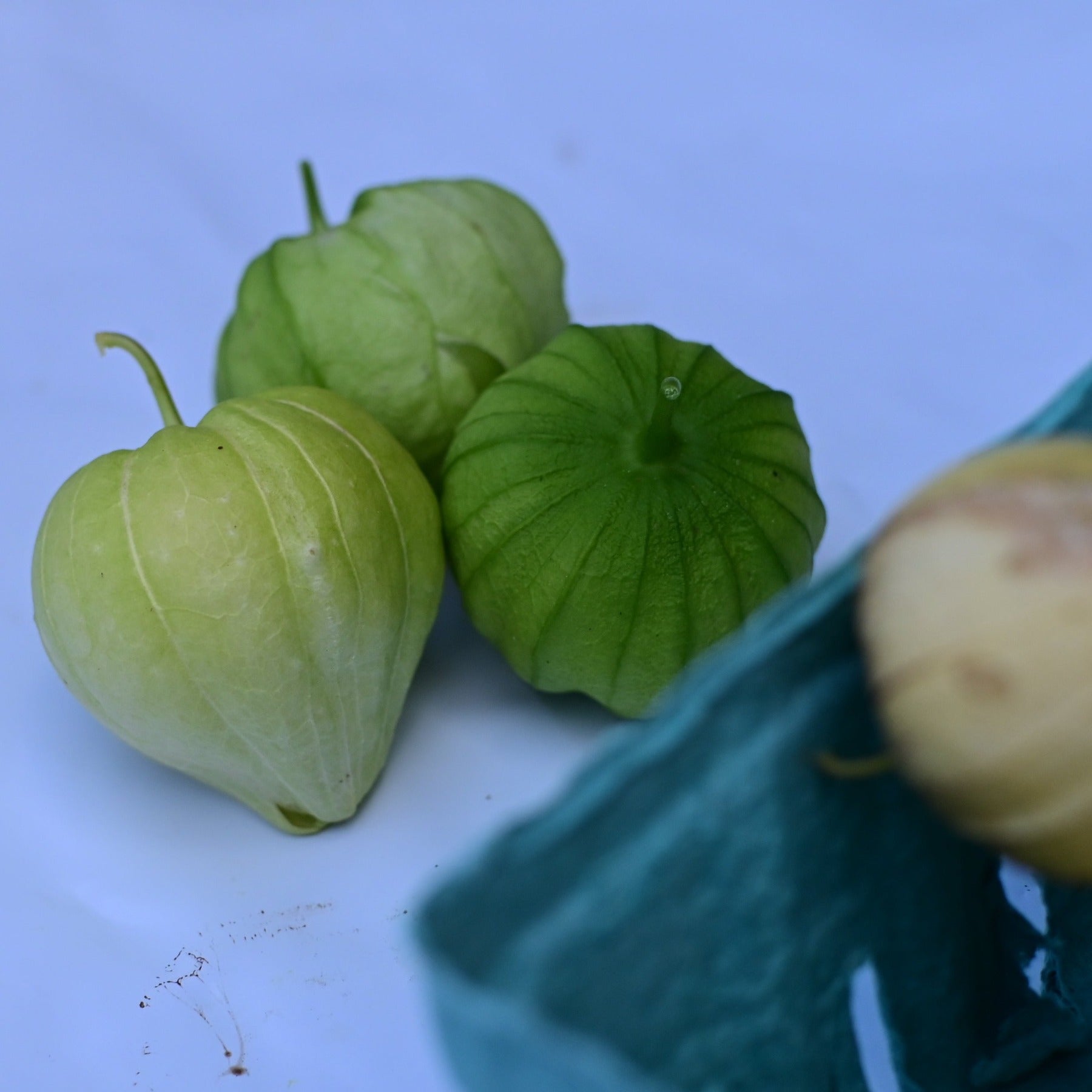 Group of three tomatillo verde fruits next to a pint container against a white background