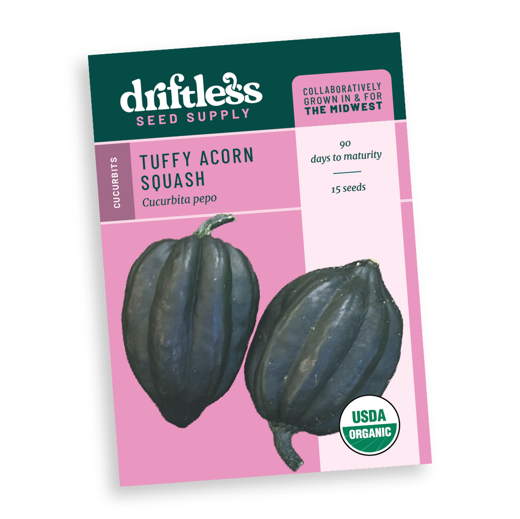 Tuffy Acorn Winter Squash