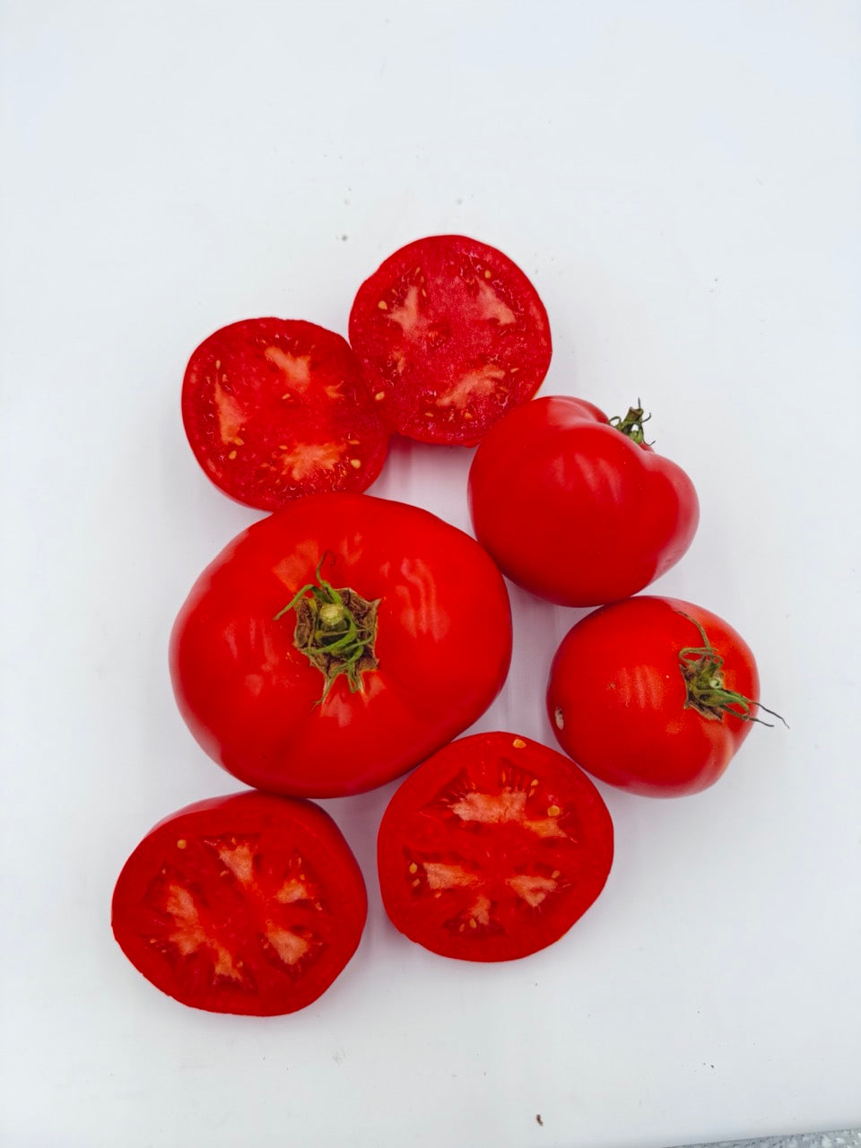 Wisconsin 55 Heirloom Red Slicer Tomato - Organic