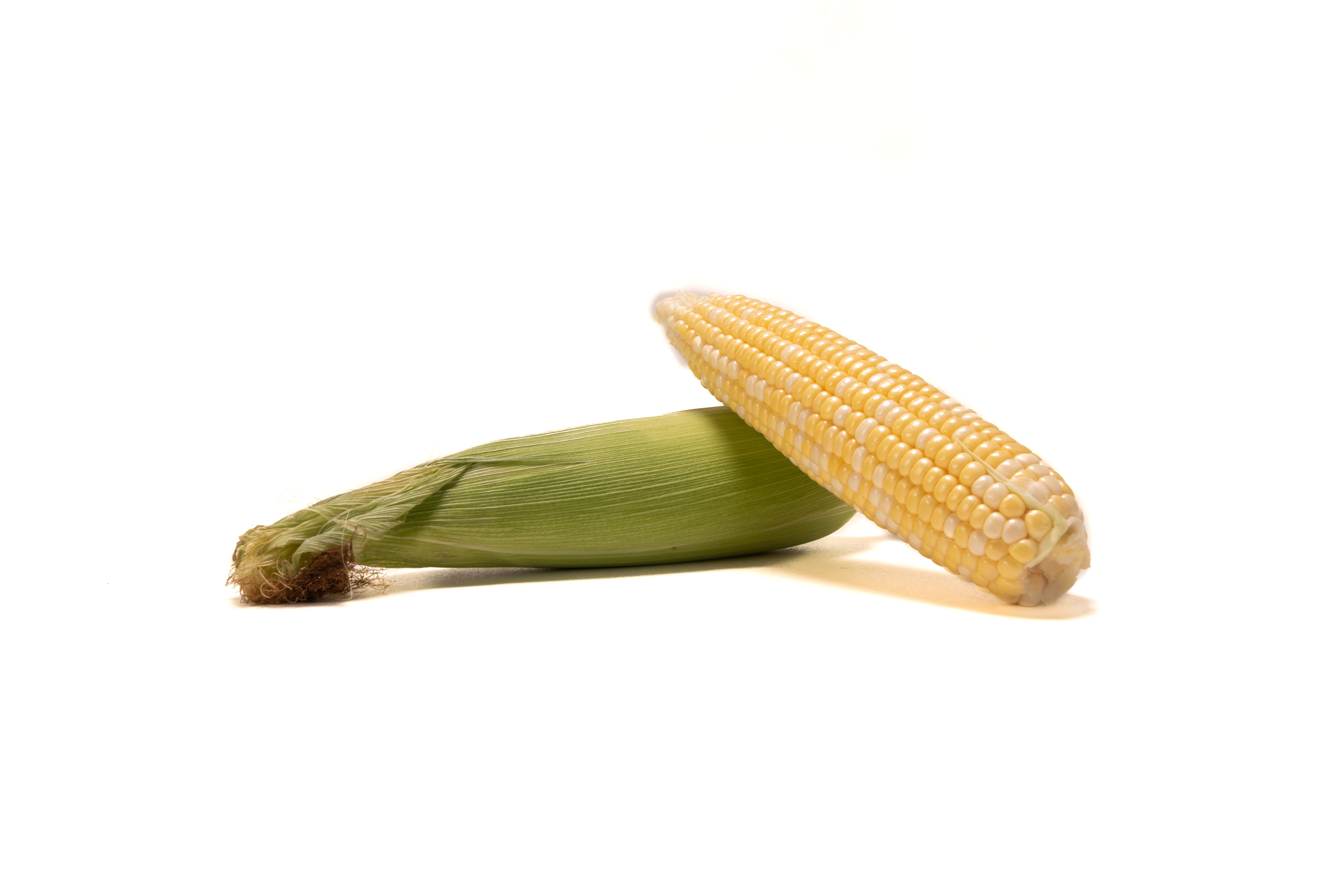Double Standard Sweet Corn - Organic