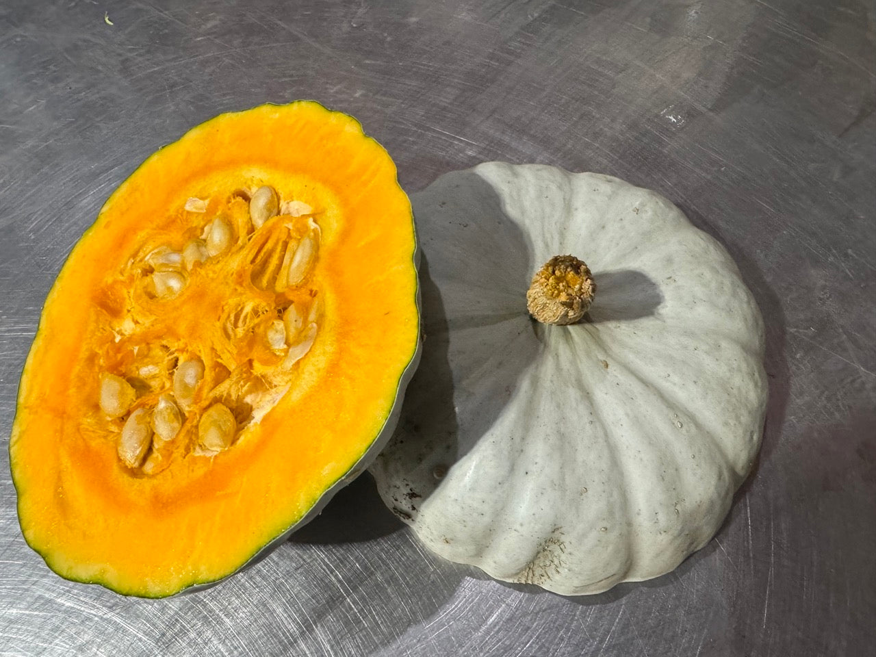 Stella Blue Winter Squash - Organic