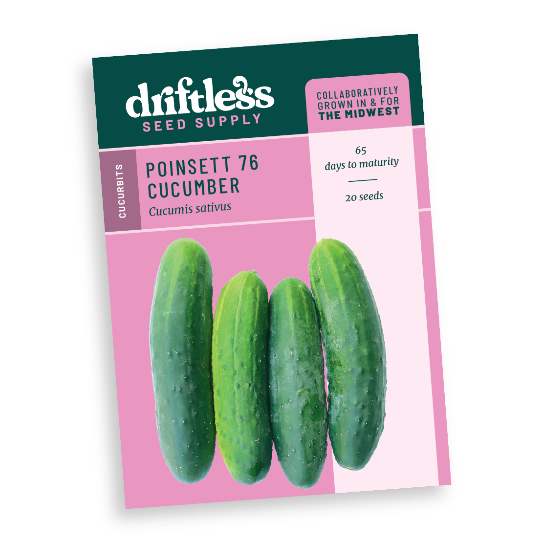 Poinsett 76 Heirloom Disease Resistant Slicer Cucumber